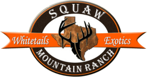 Squaw Mountain Ranch logo