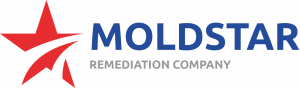 MoldStar Remediation logo