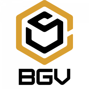 BGV Construction & Windows LLC logo