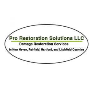 Pro Restoration Solutions logo