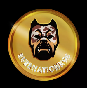 Burrnationk9s logo
