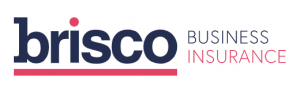 Brisco Business Insurance logo