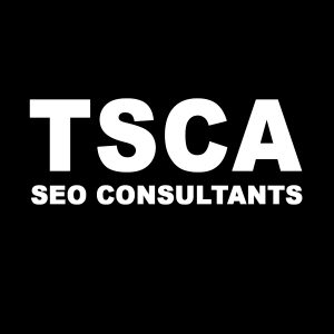The SEO Consultant Agency logo
