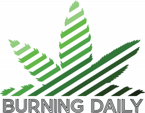 Burning Daily logo