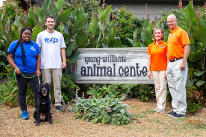 Knoxville Realtors Support Young Williams Animal Clinic in Heartwarming Partnership