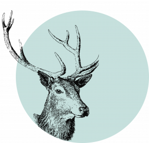 My Advent Calendar logo