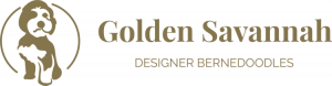 Golden Savannah logo