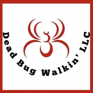 Dead Bug Walkin LLC logo