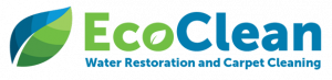 EcoClean logo