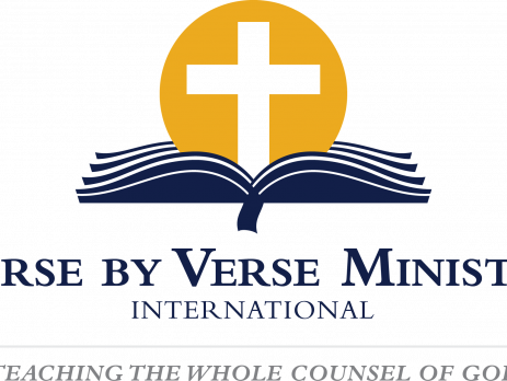 vbv new logo