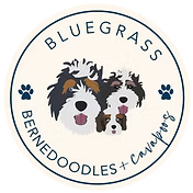 bluegrass bernedoodles logo