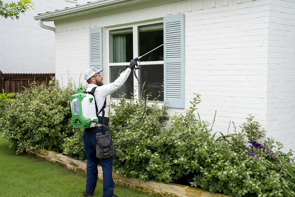 41. pest control treatment