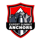 expert+summit+anchors logo