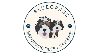 bluegrass logo resized transparent