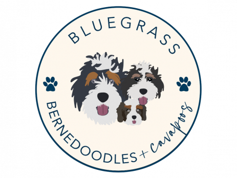 bluegrass logo resized transparent