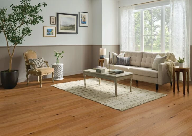 annotation 2025 11 20 221805