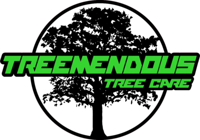 treemendous tree care llc logo
